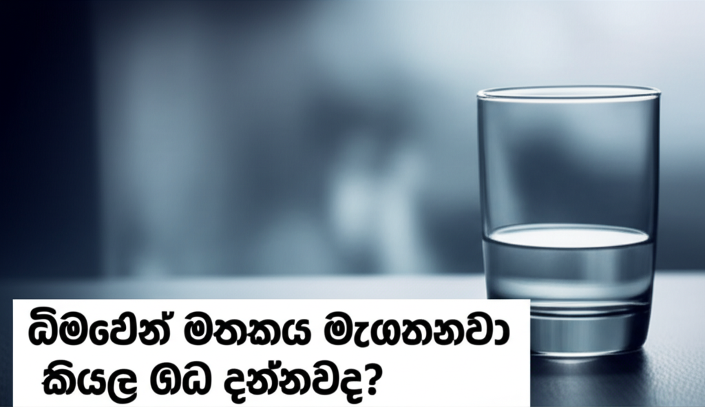 බීමෙන් මතකය මැකෙනවා කියල ඔබ දන්නවද?