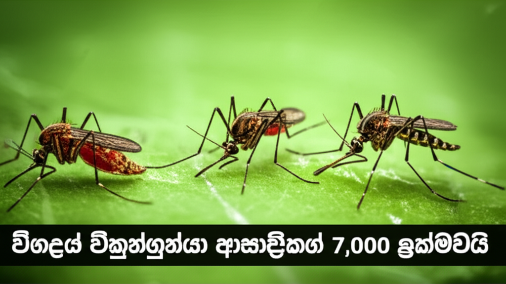 චීනයේ චිකුන්ගුන්යා ආසාදිතයින් 7,000 ඉක්මවයි