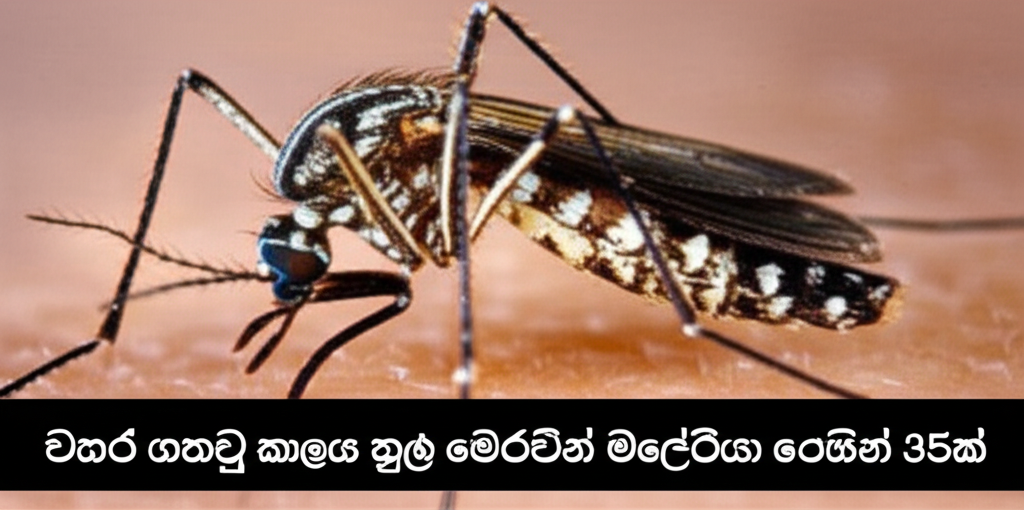 වසරේ ගතවූ කාලය තුළ මෙරටින් මැලේරියා රෝගීන් 35ක්