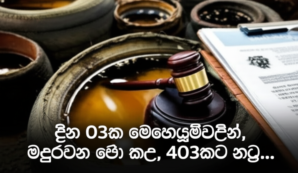 දින 03ක මෙහෙයුම්වලින්, මදුරුවන් බෝ කළ, 403කට නඩු...