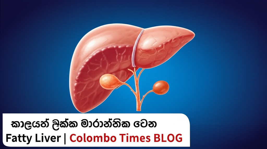 කාලයත් එක්ක මාරාන්තික වෙන Fatty Liver | Colombo Times BLOG