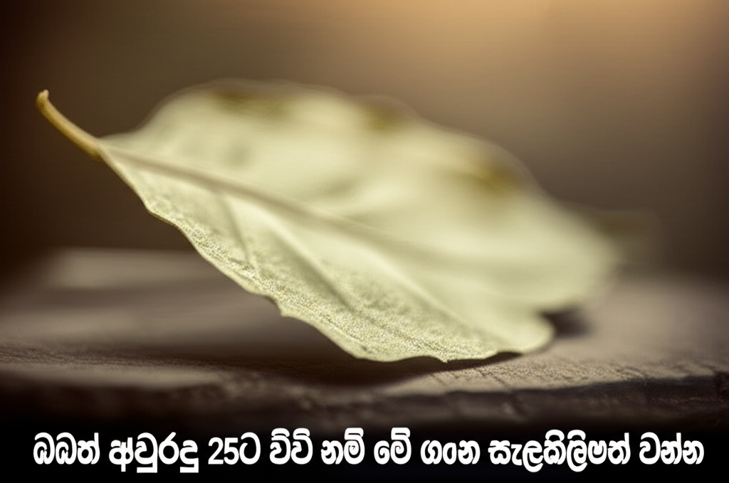 ඔබත් අවුරුදු ට වැඩි නම් මේ ගැන සැලකිලිමත් වන්න