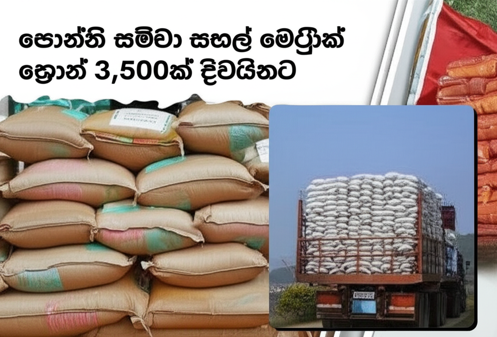 පොන්නි සම්බා සහල් මෙට්රික් ටොන් 3,500ක් දිවයිනට